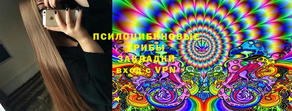 метамфетамин Богданович