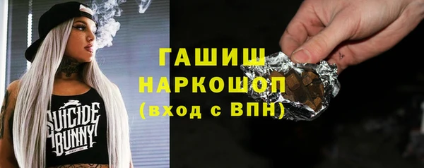 apvp Снежногорск