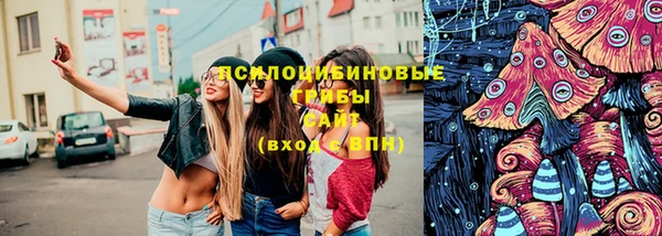 таблы Богородск