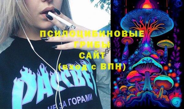 метамфетамин Богданович